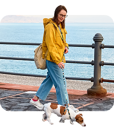 Person walking a small dog along a pier